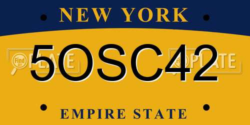 5OSC42 New York License Plate