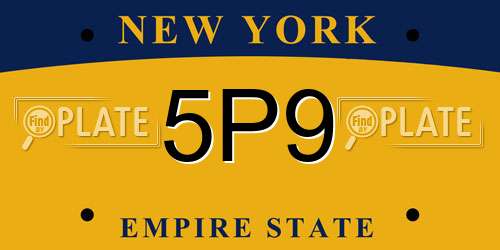 5P9 New York License Plate