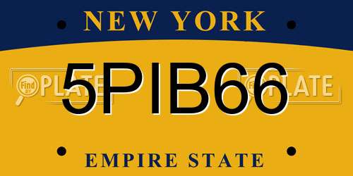 5PIB66 New York License Plate