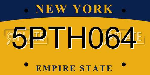 5PTH064 New York License Plate