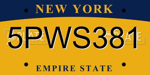 5PWS381 New York License Plate