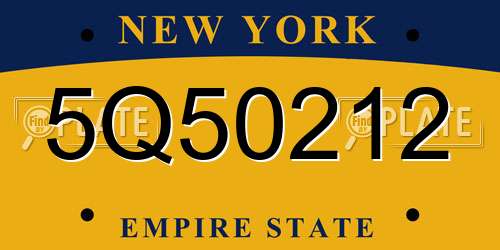 5Q50212 New York License Plate