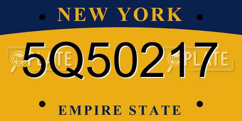 5Q50217 New York License Plate