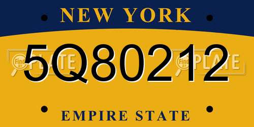 5Q80212 New York License Plate