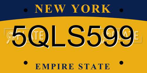 5QLS599 New York License Plate