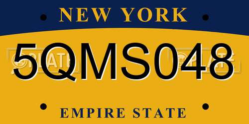 5QMS048 New York License Plate