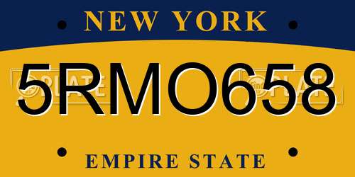 5RMO658 New York License Plate