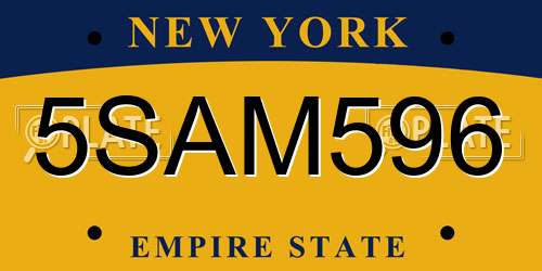 5SAM596 New York License Plate