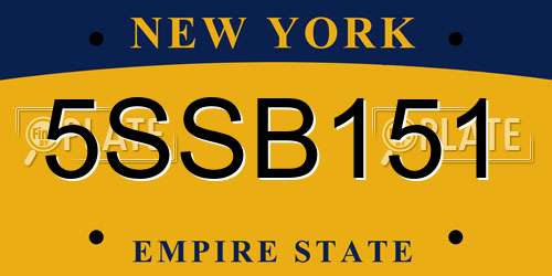 5SSB151 New York License Plate