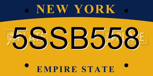 5SSB558 New York License Plate