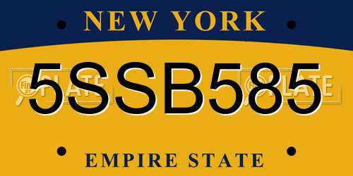 5SSB585 New York License Plate