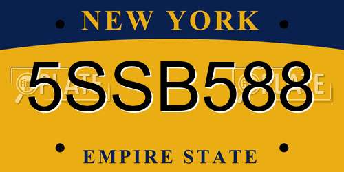 5SSB588 New York License Plate