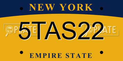5TAS22 New York License Plate