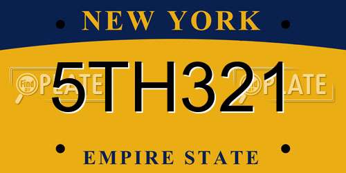 5TH321 New York License Plate