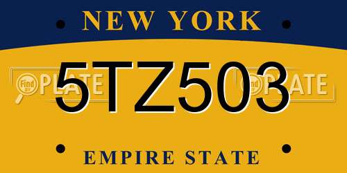 5TZ503 New York License Plate