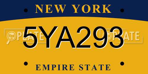 5YA293 New York License Plate