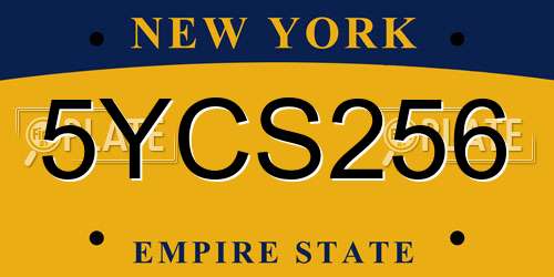 5YCS256 New York License Plate