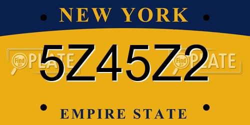 5Z45Z2 New York License Plate