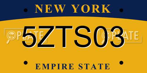 5ZTS03 New York License Plate