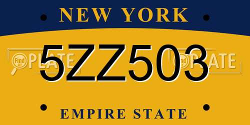 5ZZ503 New York License Plate