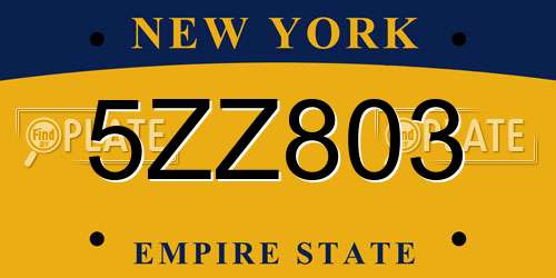 5ZZ803 New York License Plate