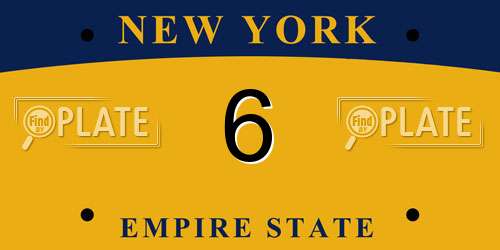 6 New York License Plate