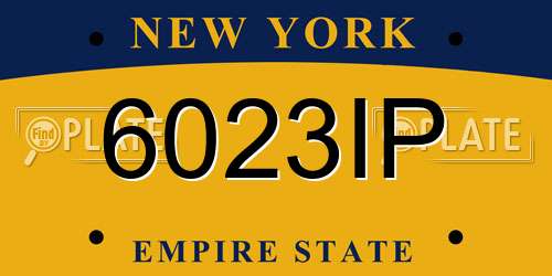 6023IP New York License Plate