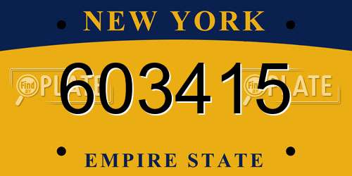 603415 New York License Plate