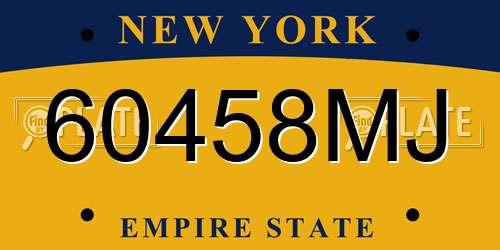 60458MJ New York License Plate