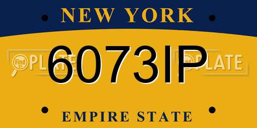 6073IP New York License Plate