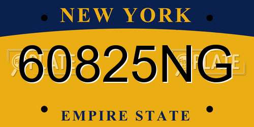 60825NG New York License Plate