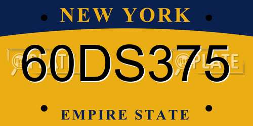60DS375 New York License Plate