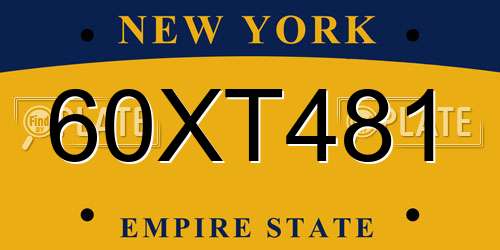60XT481 New York License Plate