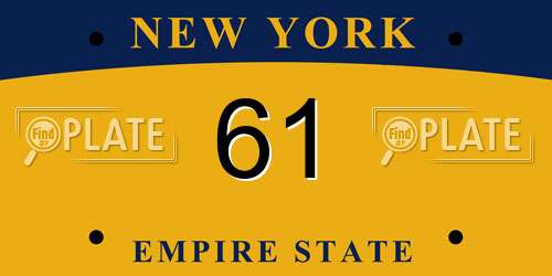 61 New York License Plate