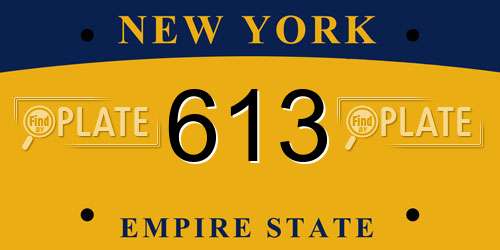 613 New York License Plate