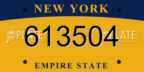 613504 New York License Plate