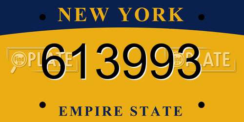 613993 New York License Plate