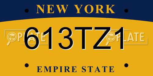 613TZ1 New York License Plate