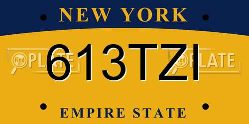 613TZI New York License Plate