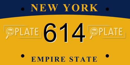 614 New York License Plate
