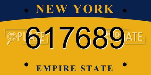 617689 New York License Plate