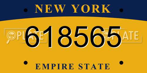 618565 New York License Plate