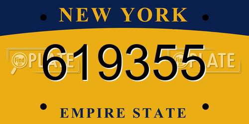 619355 New York License Plate
