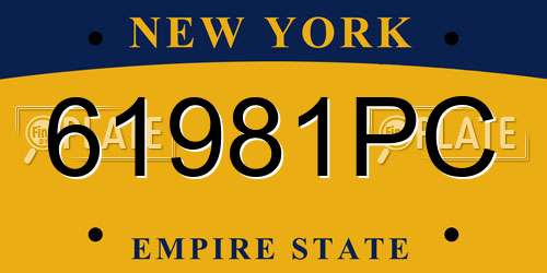61981PC New York License Plate