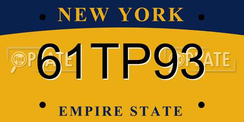 61TP93 New York License Plate