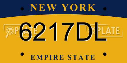 6217DL New York License Plate