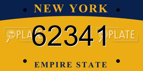 62341 New York License Plate