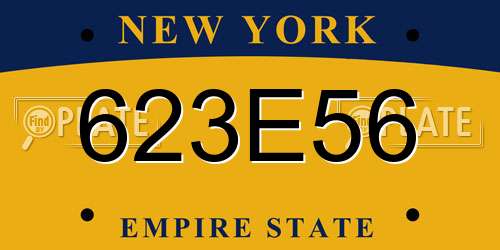 623E56 New York License Plate