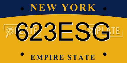 623ESG New York License Plate