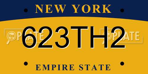 623TH2 New York License Plate